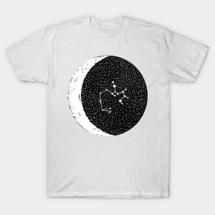 Sagittarius T-Shirt